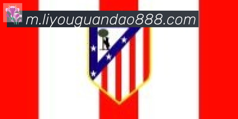 九游网页版页面登入界面合作伙伴